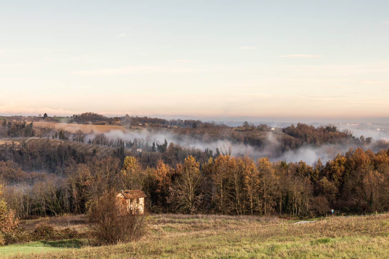 monferrato