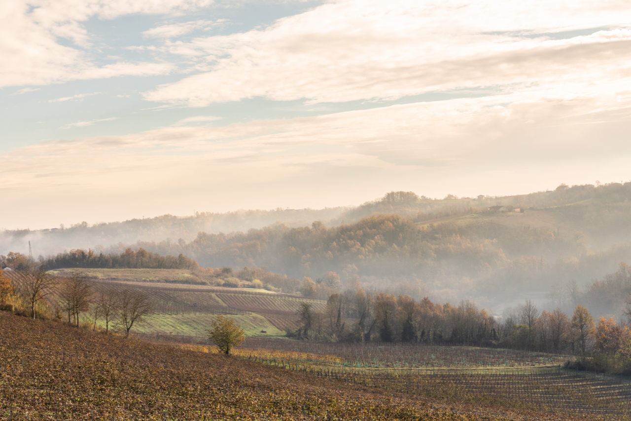 monferrato wijn