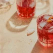 negroni recept