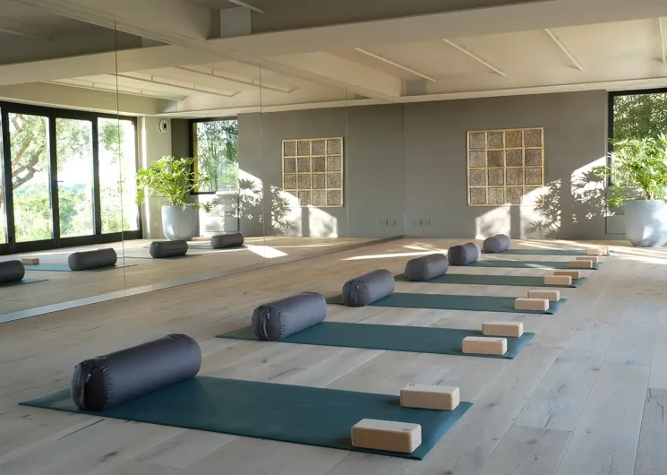 Oliveto Estate Le Marche yoga