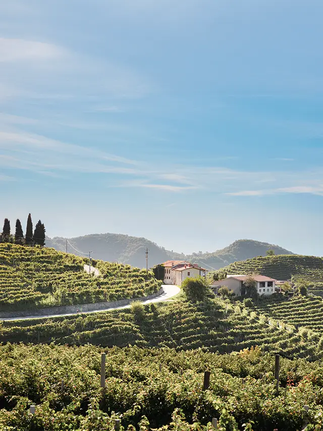 Le Colline del Prosecco