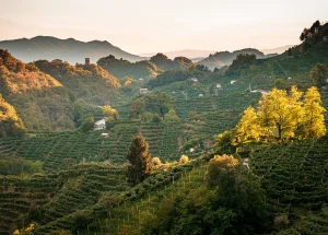 Veneto zien en doen