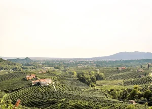 Villa del Poggio in Veneto proseccoheuvels