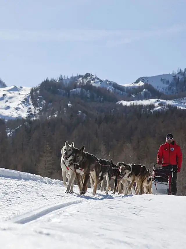 Bucketlist Italie sledenhondentocht