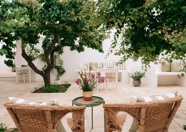 Oltre gli Ulivi in Ostuni terras